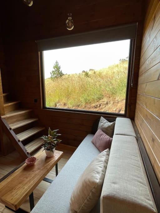 Mountain Eco Shelter 4 Hotel Funchal  Ngoại thất bức ảnh